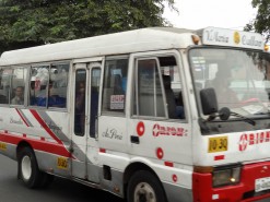 Peruvian Combi