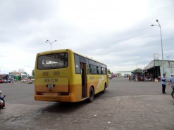 The Bus The Bus