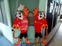 Tony The Tiger At The Swimming Pool