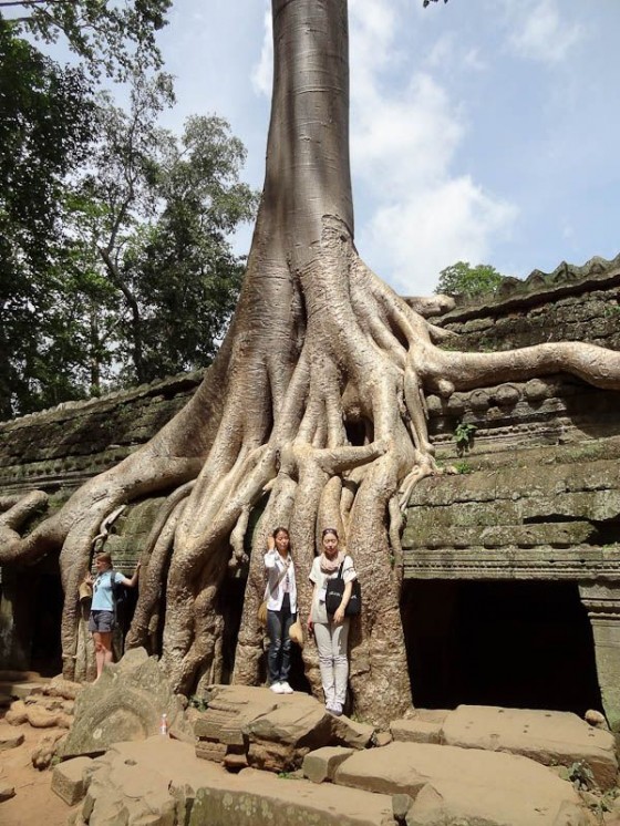 Angkor Wat Complex