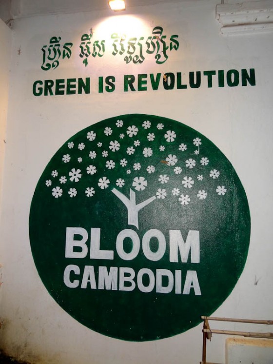 Bloom Cambodia