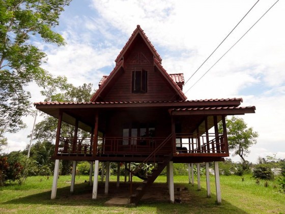 Didi's House