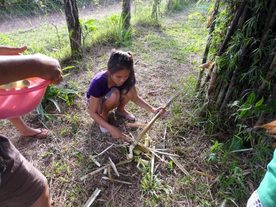 Procuring The Bamboo