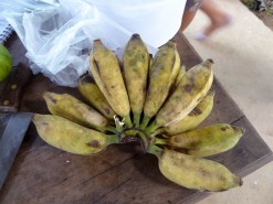 Exotic Fruit - Bananas