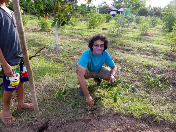 Planting Trees