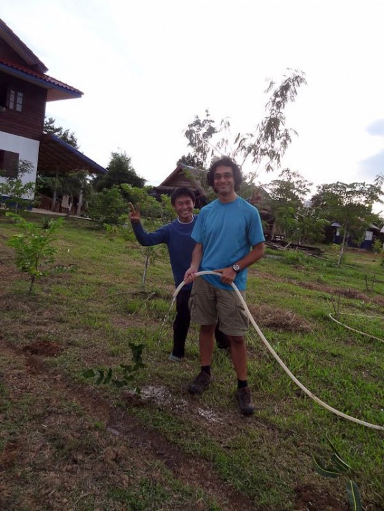 Watering The Newly Planted Trees