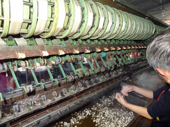 Spinning The Silk