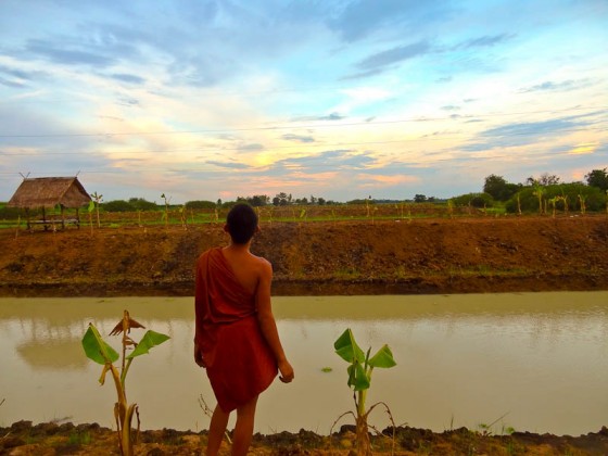 Beautiful Scene