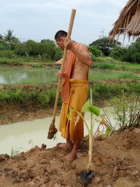 Digging Holes