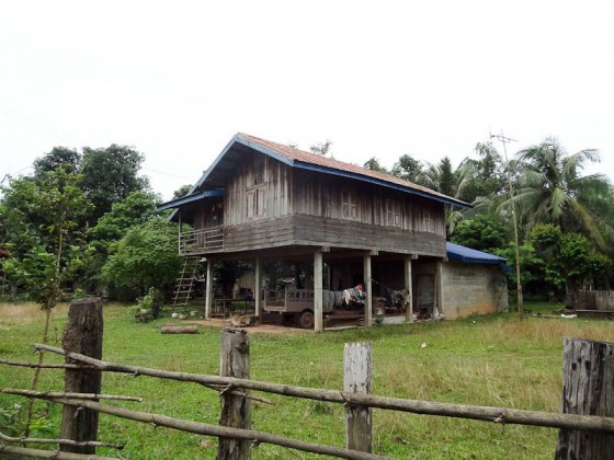 Homes On Stilts