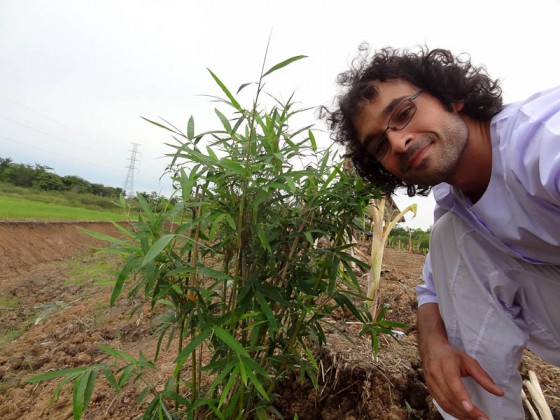 Planting A Tree