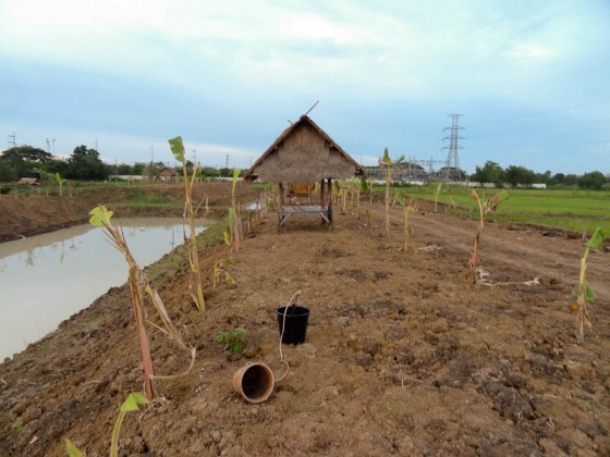 Planting For The Future
