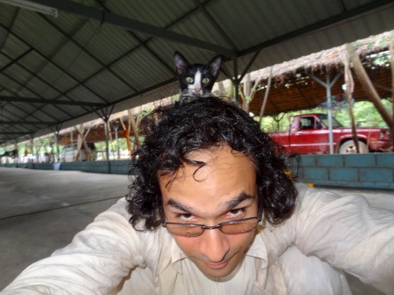 With A New Friend