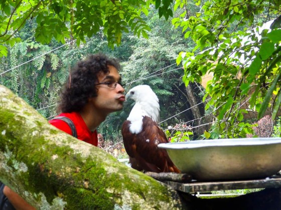 kissing an eagle