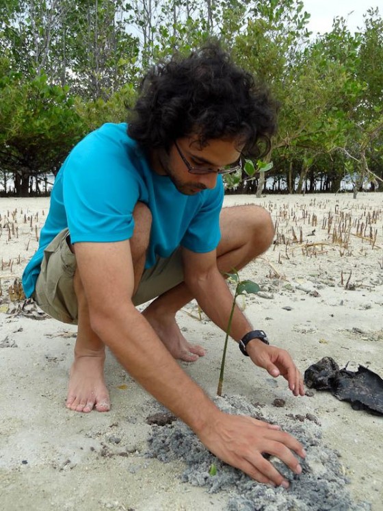planting a mangrove tree in the philippines