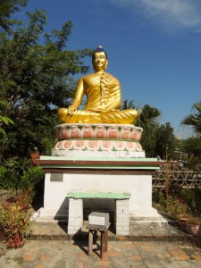 Buddha Buddha