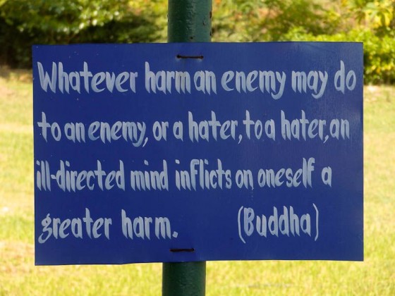 Buddha's Teachings