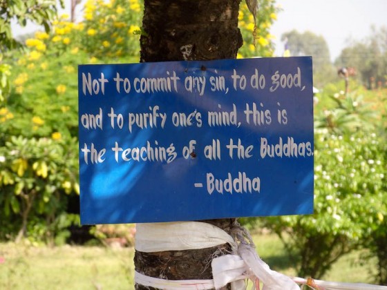 Buddha's Teachings