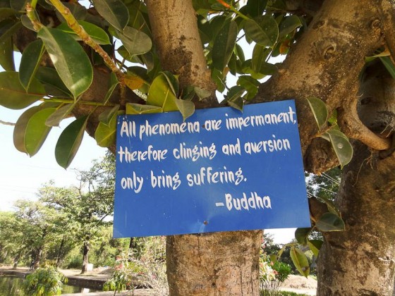 Buddha's Teachings