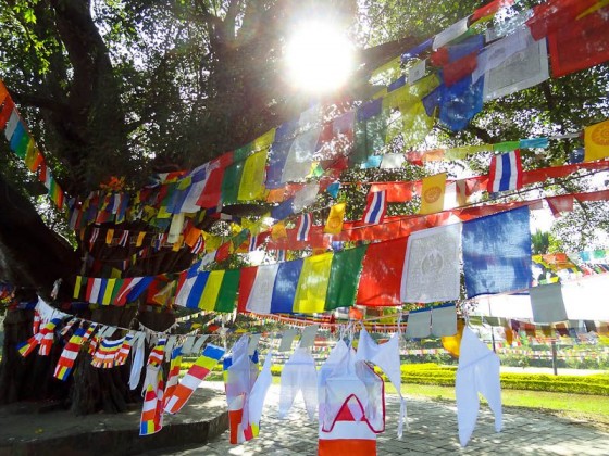 Enlightened Flags