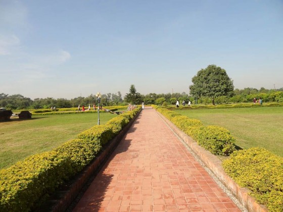 Green And Peaceful