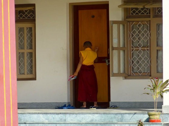 Young Monk