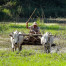 A Glimpse Into Rural Burmese Life