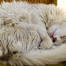 Photo Friday – Sometimes You Just Need To Sleep – Nicosia, Turkish Republic Of Northern Cyprus