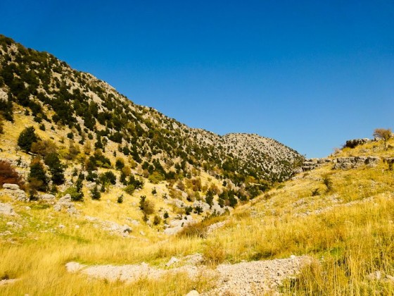 Beautiful Area