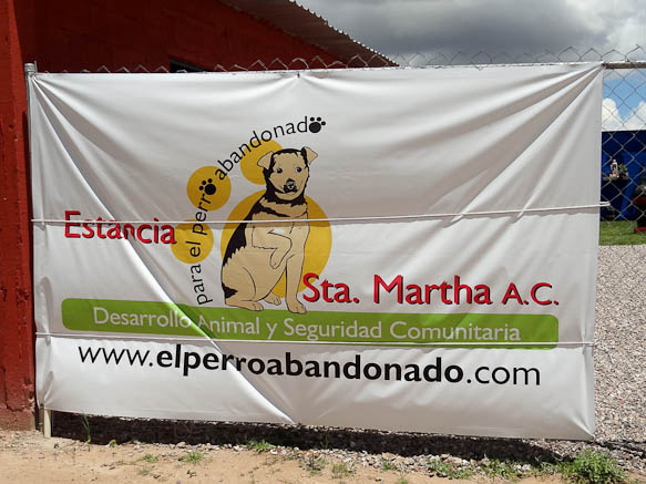 El Perro Abandonado in San Luis Potosi