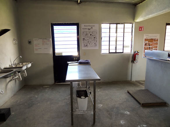 sterilization clinic at dog shelter in san luis potosi