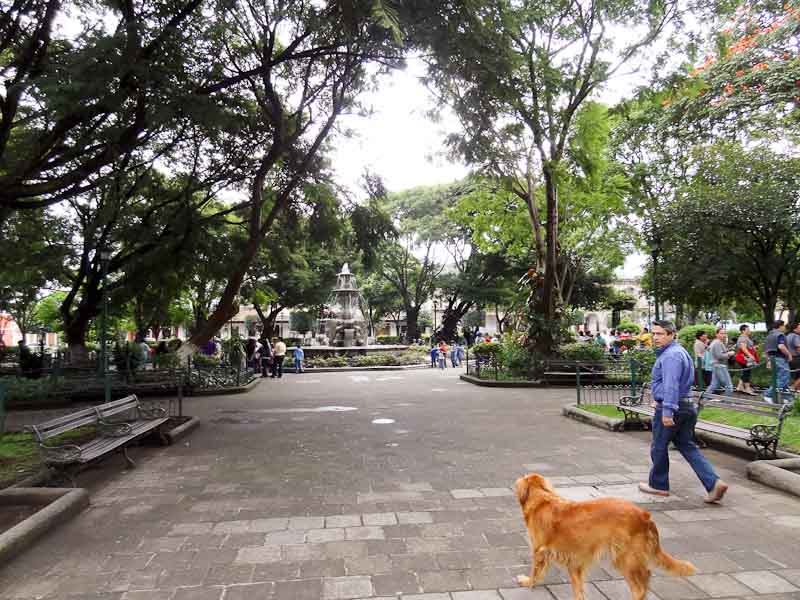 Central Park