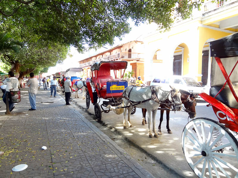 Horse Carriages In Center