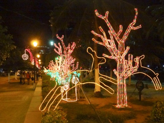 Christmas Decorations In Santa Marta