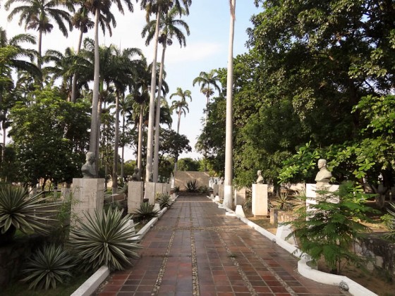 Beautiful Park At The Colombia-Venezuela Border Beautiful Park At The Colombia-Venezuela Border