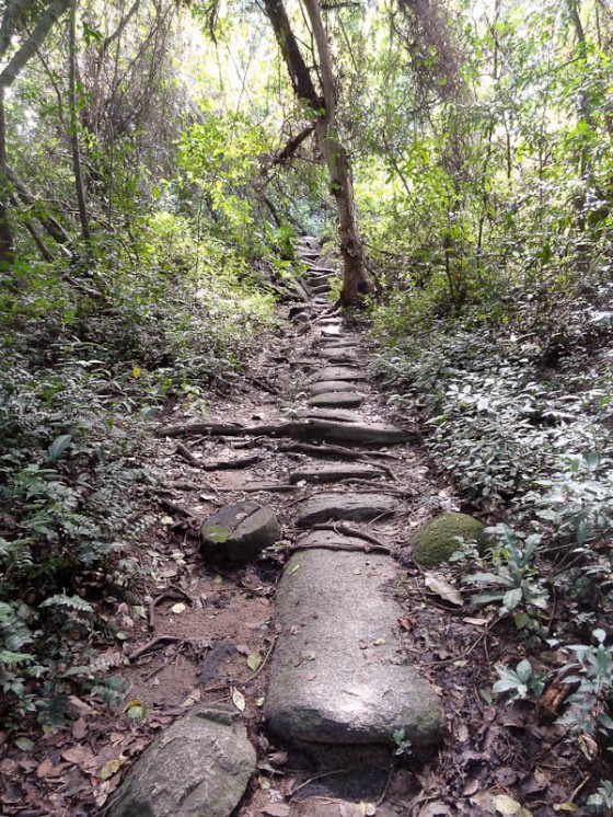 A Path Made Of Stones A Path Made Of Stones