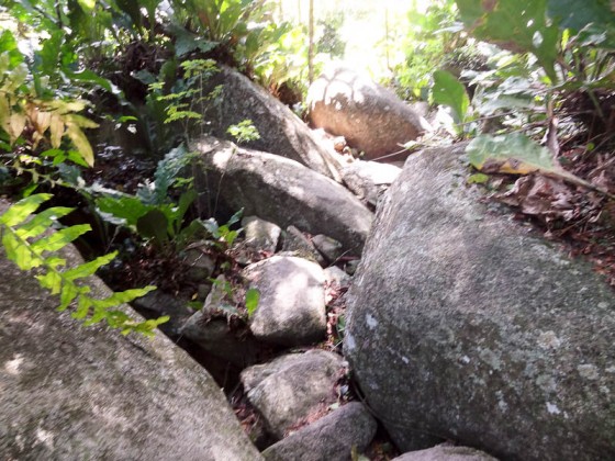 Climbing Over Stones Climbing Over Stones