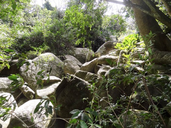 Climbing Over Stones Climbing Over Stones