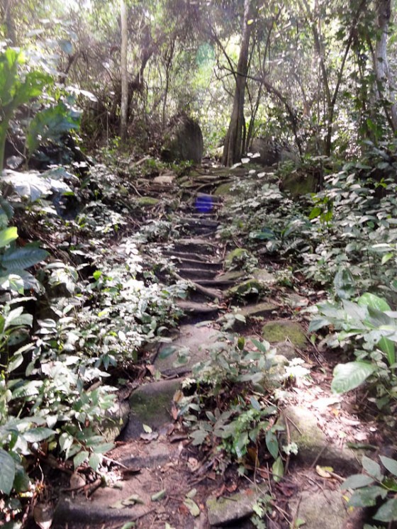 Another Stone Path Another Stone Path