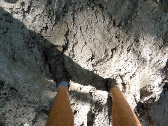 Very Muddy! Very Muddy!