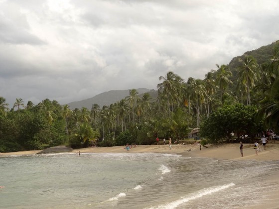 My Camp's Beach My Camp's Beach