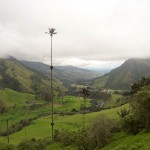 Cocora Valley - Taken Feb 8, 2012 - Salento, Colombia