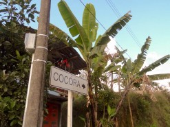 Cocora Valley Sign