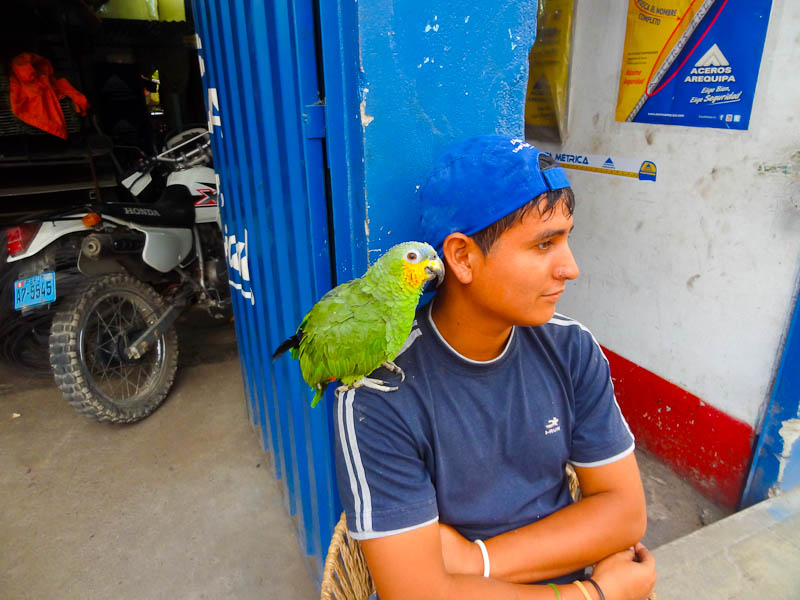 Man And Bird - Taken 28-Mar-2012 - Casma, Peru