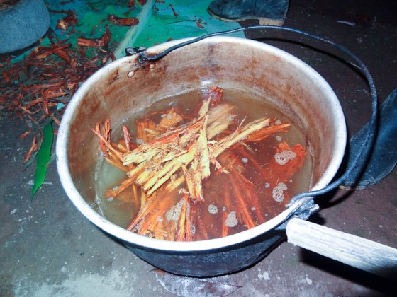 Ayahuasca In The Pot