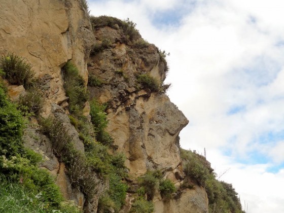Inca Face