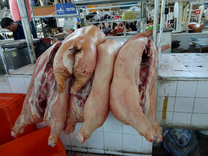 Arequipa Market - Pigs