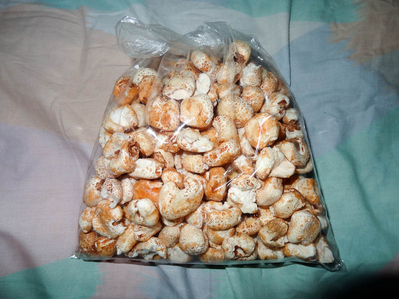 Cancha Dulce (My Addiction)