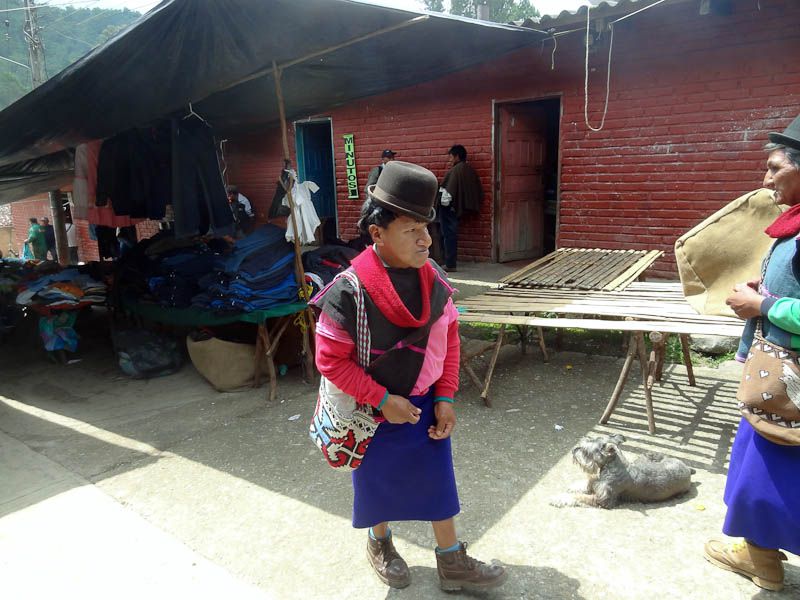 Guambiano Man - Silvia, Colombia