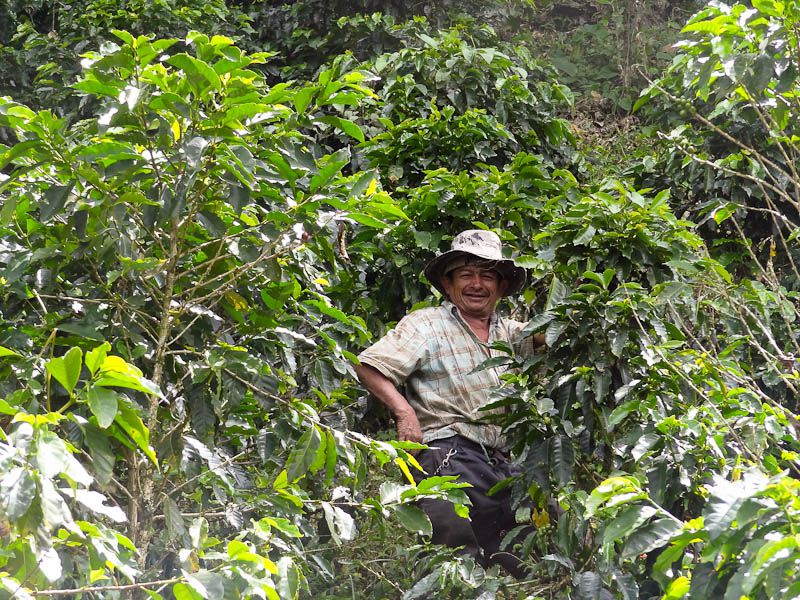 The Real Juan Valdez - Manizales, Colombia
